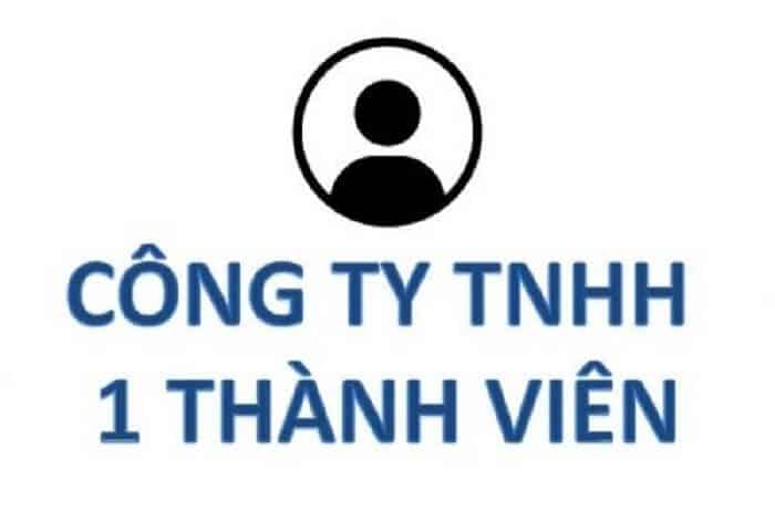 Những hạn chế đối với quyền của chủ sở hữu công ty trách nhiệm hữu hạn một thành viên là gì?