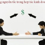 hợp đồng nguyên tắc trong hợp tác kinh doanh.