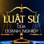 Dịch vụ Luật sư Doanh Nghiệp