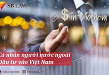 Cá nhân người nước ngoài đầu tư vào Việt Nam