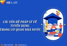 Các vấn đề pháp lý về tuyển dụng trong cơ quan nhà nước