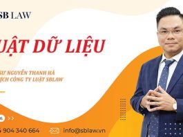 Luật dữ liệu Xây dựng phát triển quản trị xử lý và sử dụng dữ liệu số - SBLAW